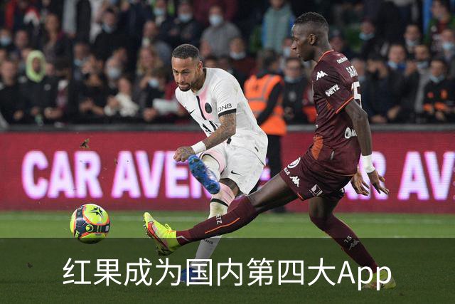 红果成为国内第四大App